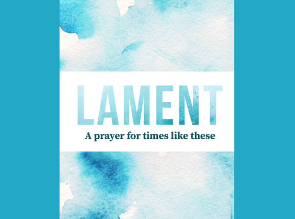 Screen Shot 2021-12-06 at 12.57.23 PM