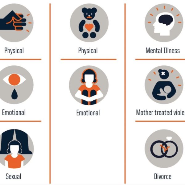 trauma-sensitivity-training